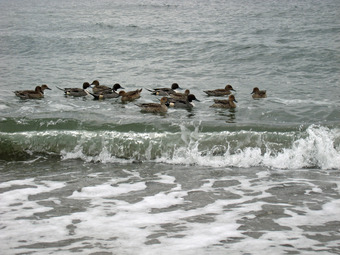 09IMG_4560