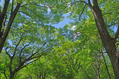 12-2DSCF1159