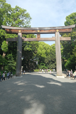 30DSCF5425