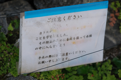 DSCF9979