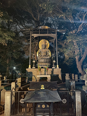 43-IMG_8233