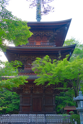 16-1DSCF1003