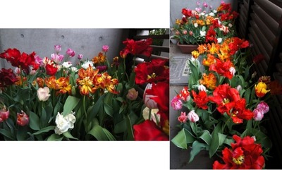 【4月22日 土曜日】