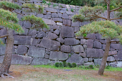 240DSCF0816