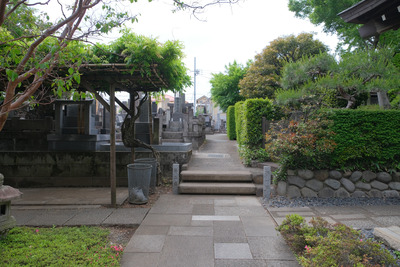 30-DSCF1131