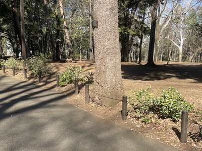 2-IMG_8644