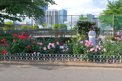 130-DSCF1714