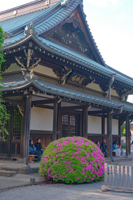 25DSCF1072