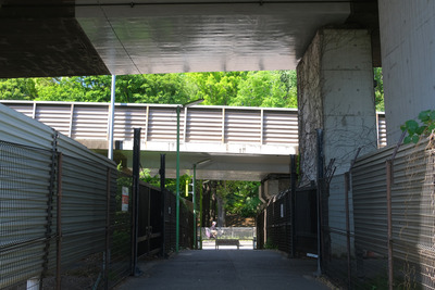 10-DSCF1482