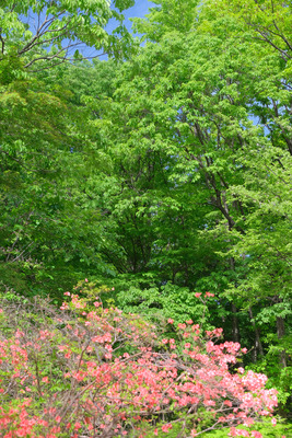 125-DSCF0639