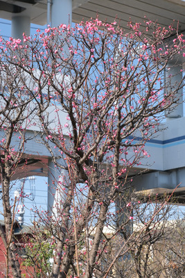 23-1DSCF9817