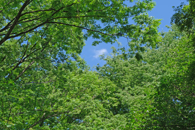 112-DSCF1360