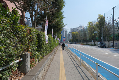 29DSCF0543