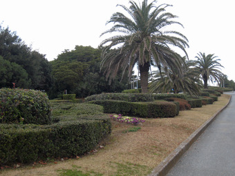000IMG_4575