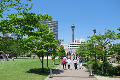 105DSCF3337