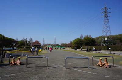 DSC05546
