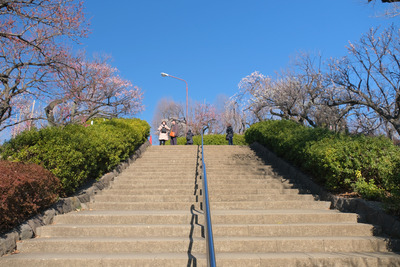 17-DSCF9454
