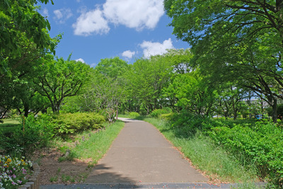 12-1DSCF1161
