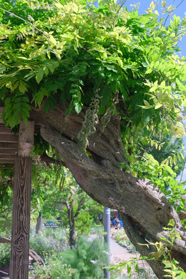 73-DSCF1478