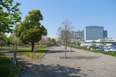 10DSCF4081