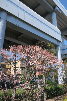 20-DSCF9790