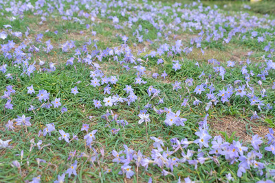 112-1DSCF0114