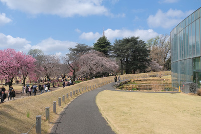 202DSCF0206