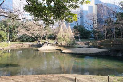 132-DSCF9644