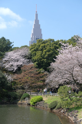 430-DSCF0459