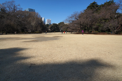 DSC01501