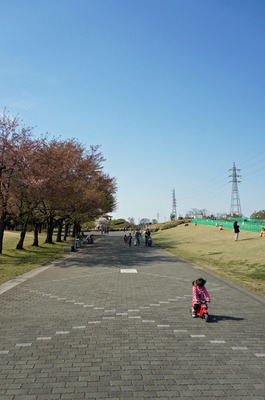 DSC05585