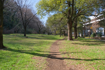 140DSCF0620