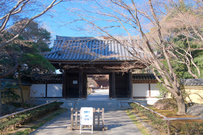 36-DSCF9359