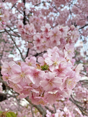38IMG_8565