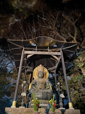44-IMG_8231