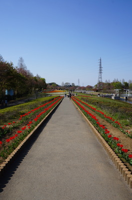 DSC05642