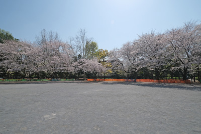 3DSCF2425