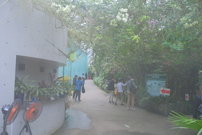 141-DSCF0133