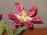 c2738e2b.jpg