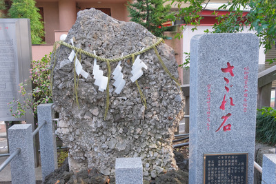 DSCF9981
