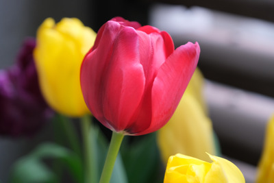 0-3DSCF3105