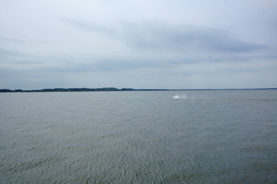 DSC06986