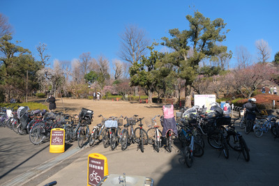 10-DSCF9443
