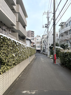 11-IMG_8382