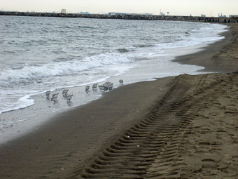08IMG_4556