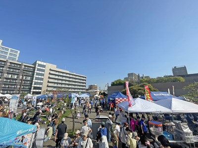 30-IMG_8885