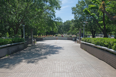 13-DSCF1487
