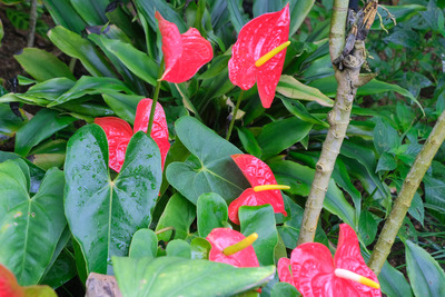 174DSCF0180