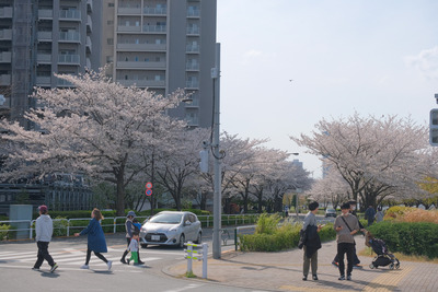 304-DSCF7424