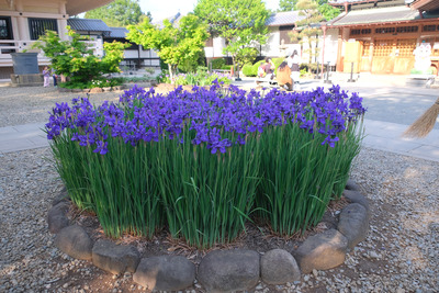 30-DSCF1019